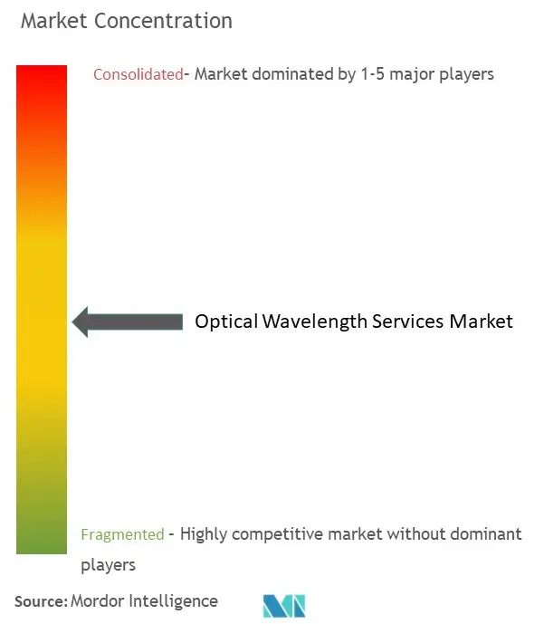 Optical Wavelength Services Market Concentration
