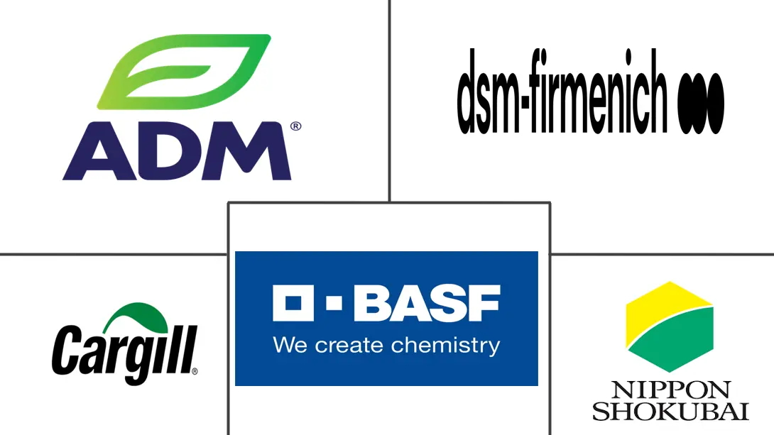 Organic Acids Market Major Players
