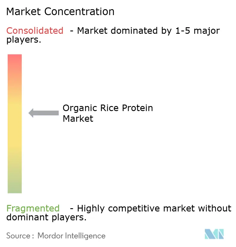 Organic Rice Protein Market Concentration