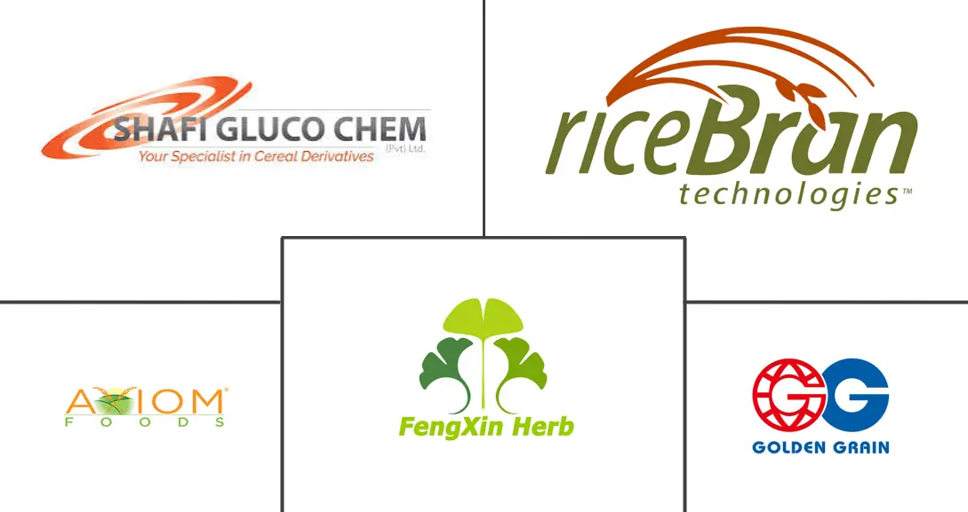 Major players in Organic Rice Protein industry