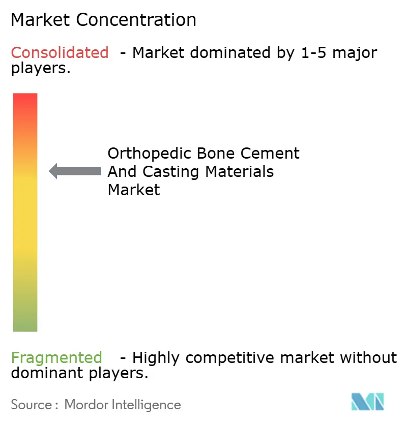 Orthopedic Bone Cement and Casting Material Market Concentration
