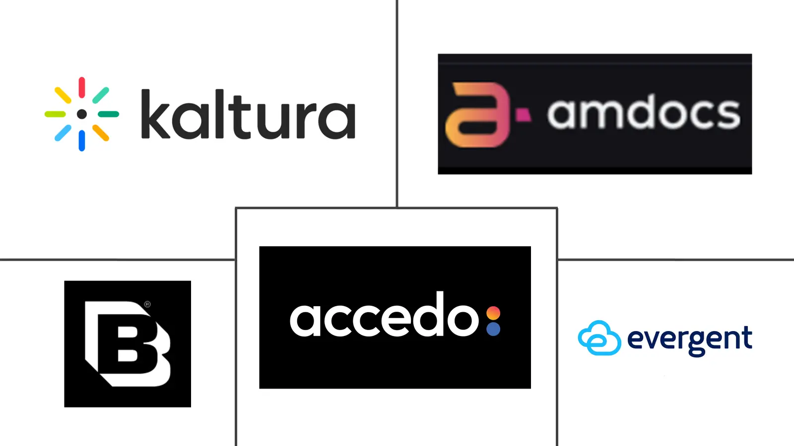 Major players in OTT Subscription Management industry