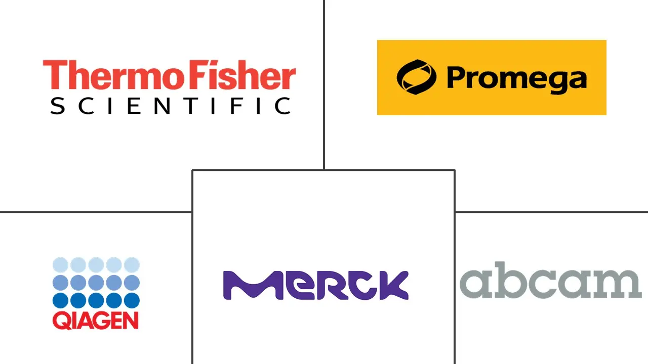 Related Companies Logo