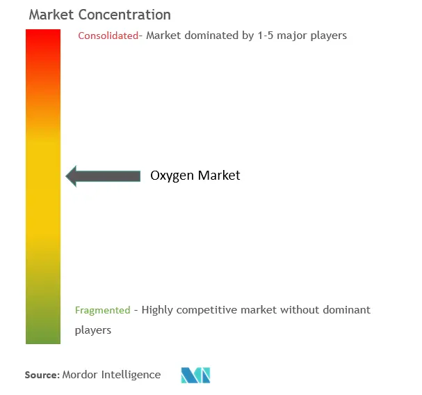 Oxygen Market Concentration