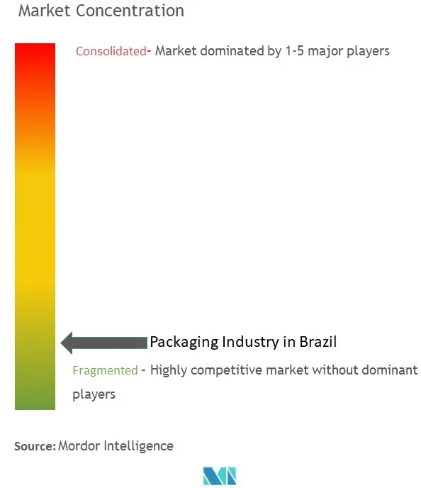 ブラジル包装市場の集中度