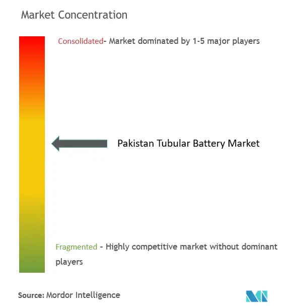 Pakistan Tubular Battery Market Concentration