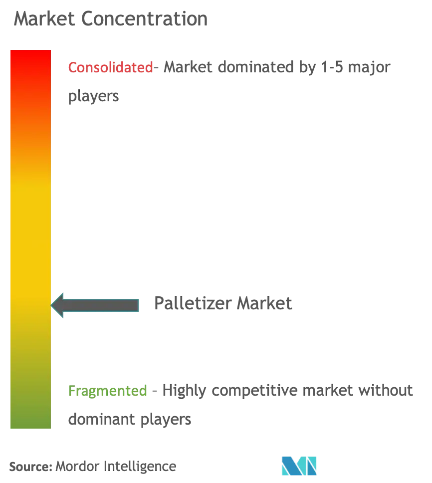 Palletizer Market Concentration