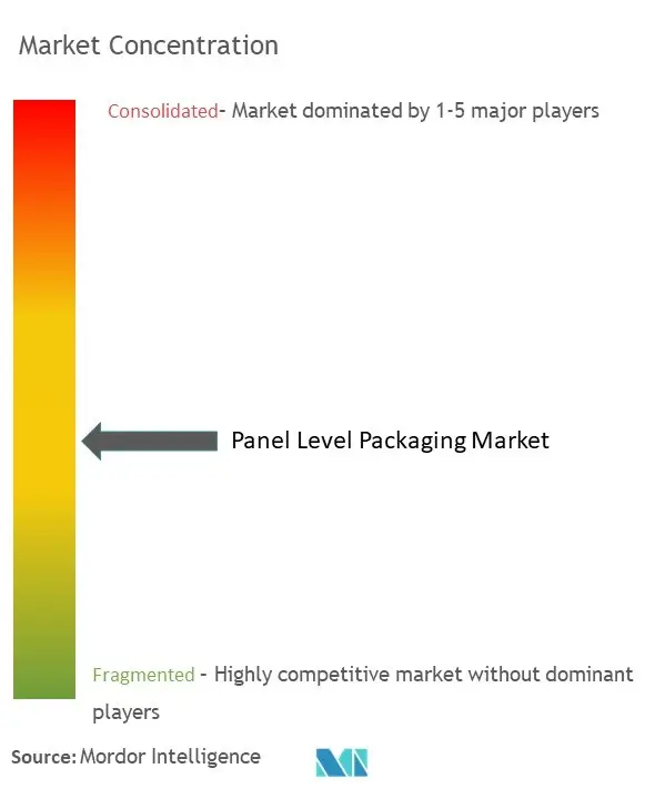 Panel Level Packaging Market Concentration