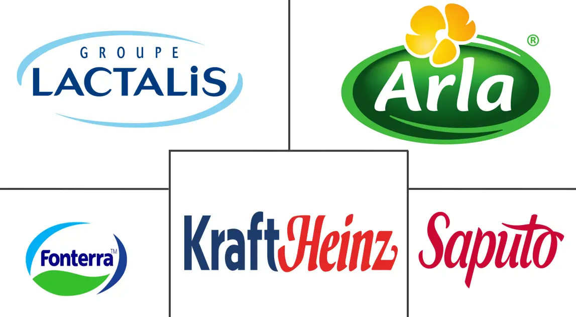 Major players in Parmesan Cheese industry