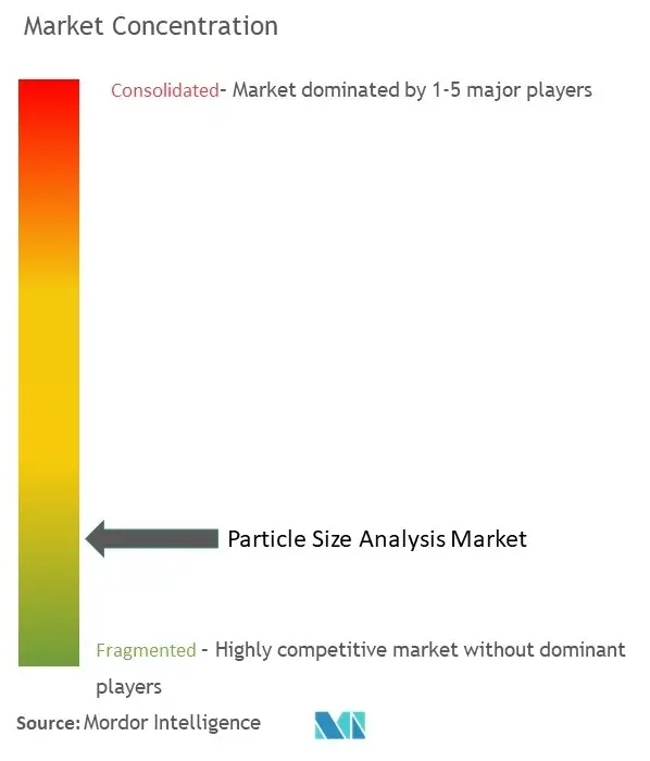 Concentração do mercado de análise de tamanho de partícula