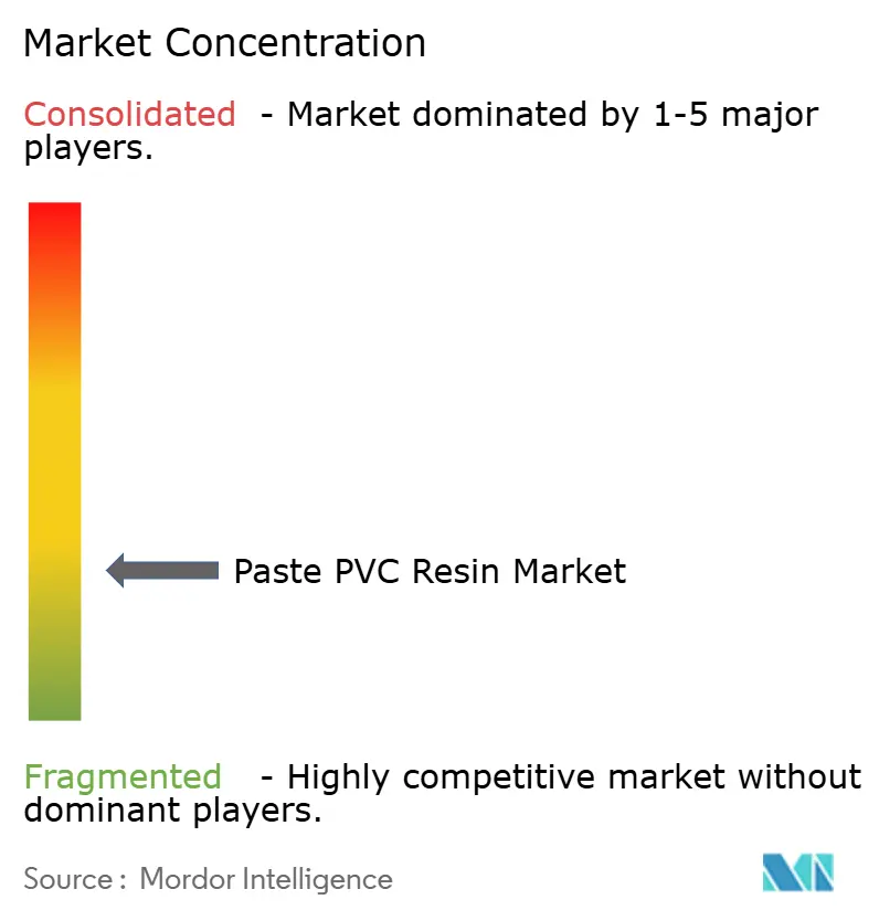 Concentración del Mercado de Resina de PVC en Pasta