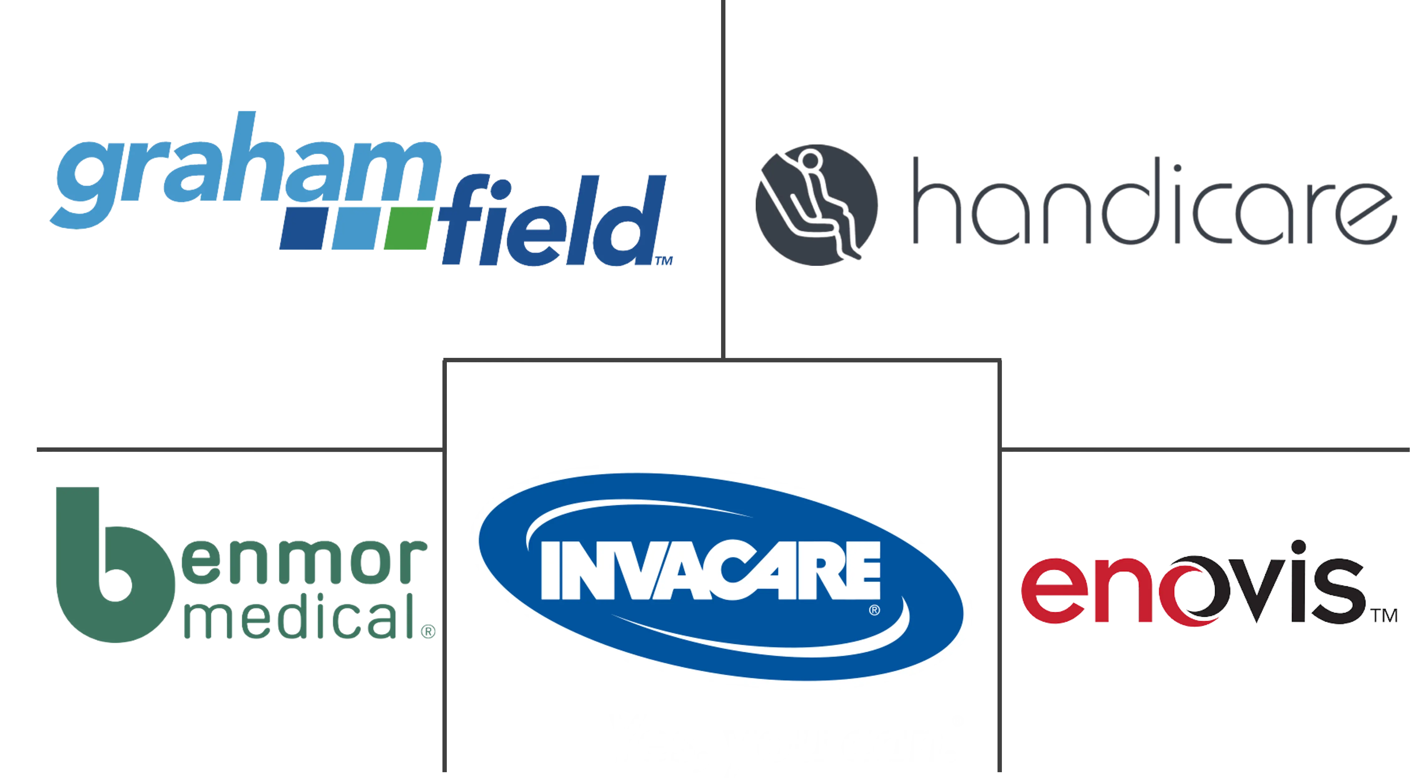 Major players in Patient Lifting Equipment industry