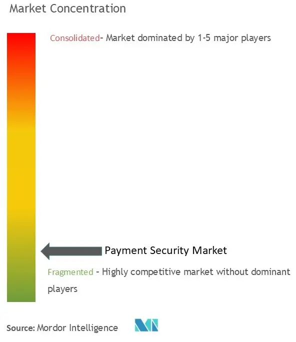 Payment Security Market Concentration