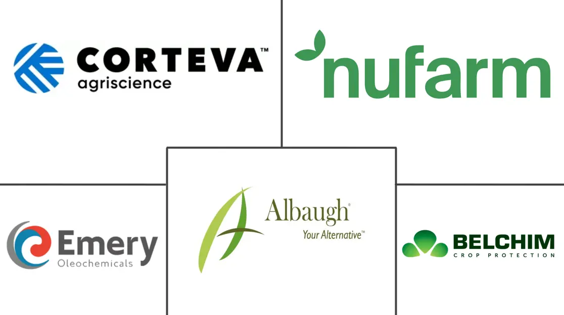 Related Companies Logo