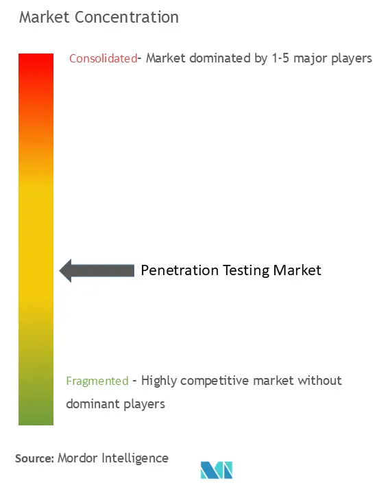 侵入テスト市場の集中度