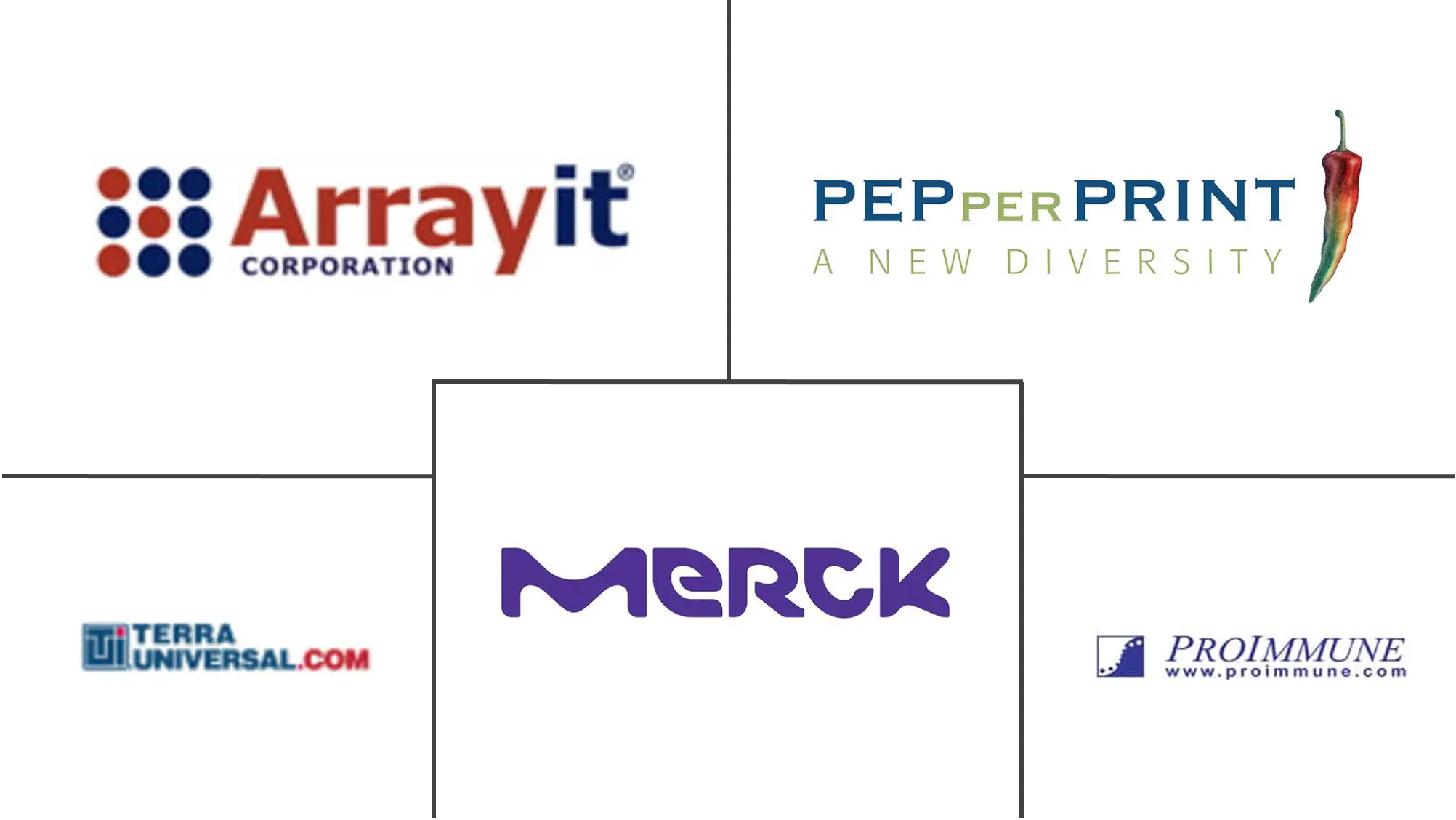 Peptide Microarray Market Major Players