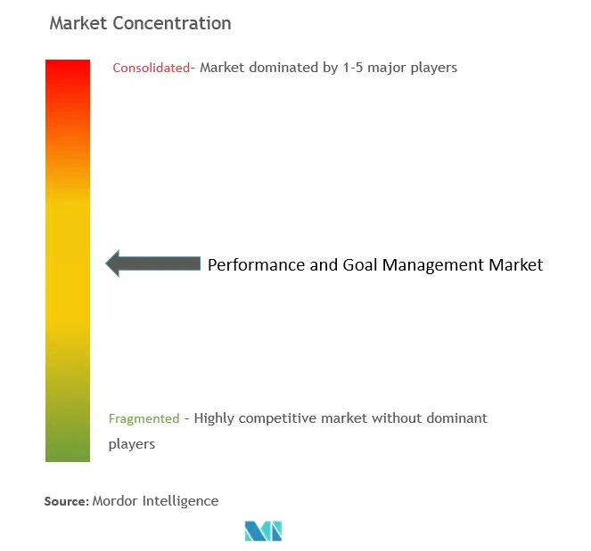 パフォーマンスと目標管理の市場集中