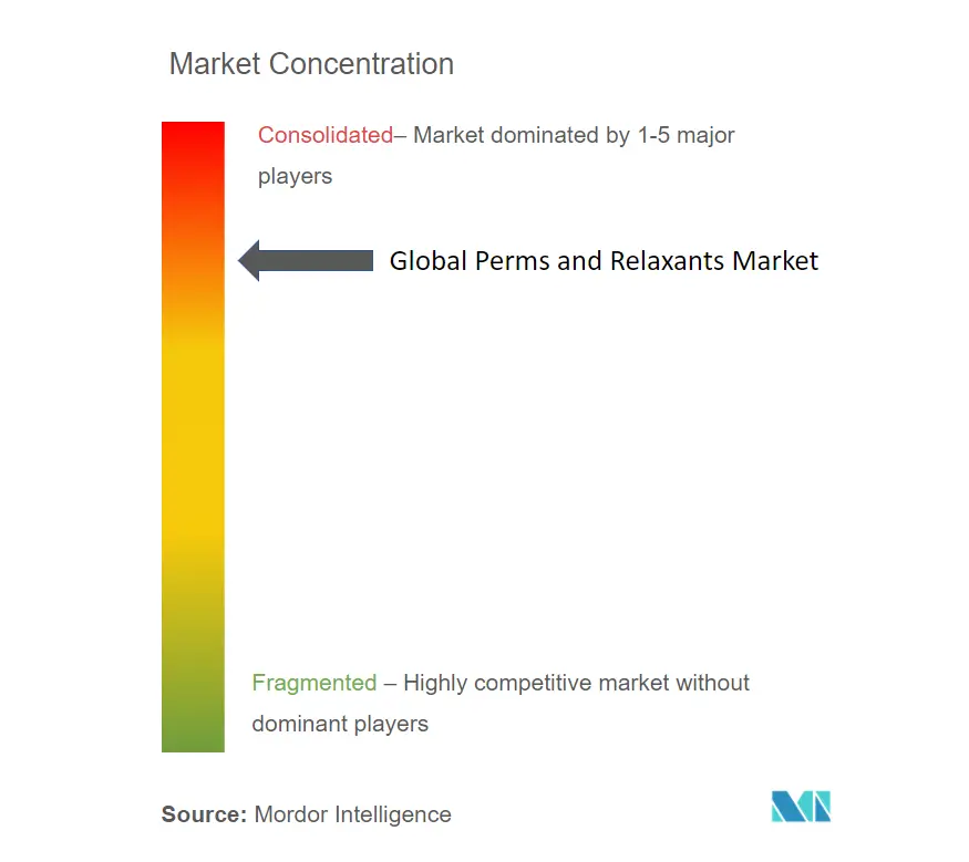 Perms and Relaxants Market_Market Concentration.PNG