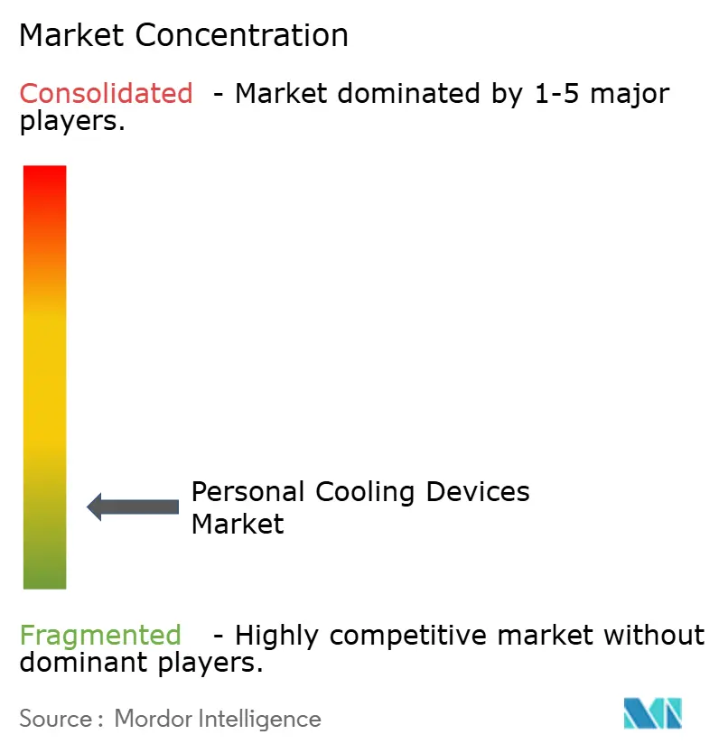 Personal Cooling Devices Market Concentration