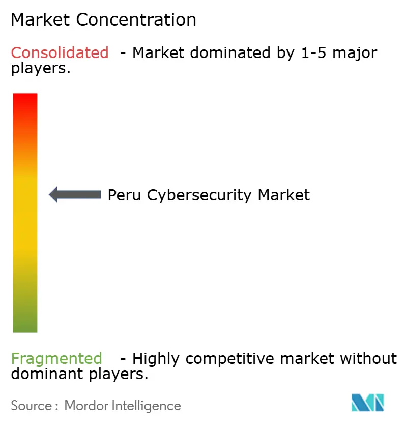 Peru Cybersecurity Market Concentration