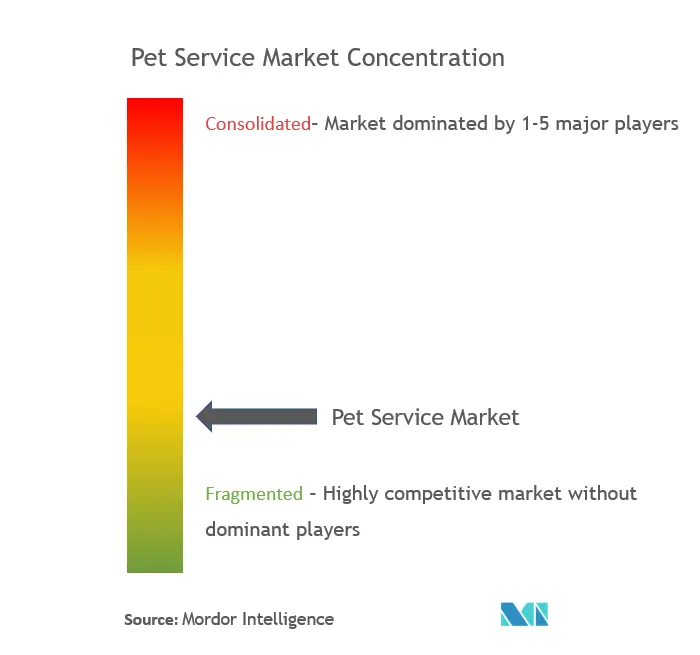 Pet Service Market - Market Concentration.png