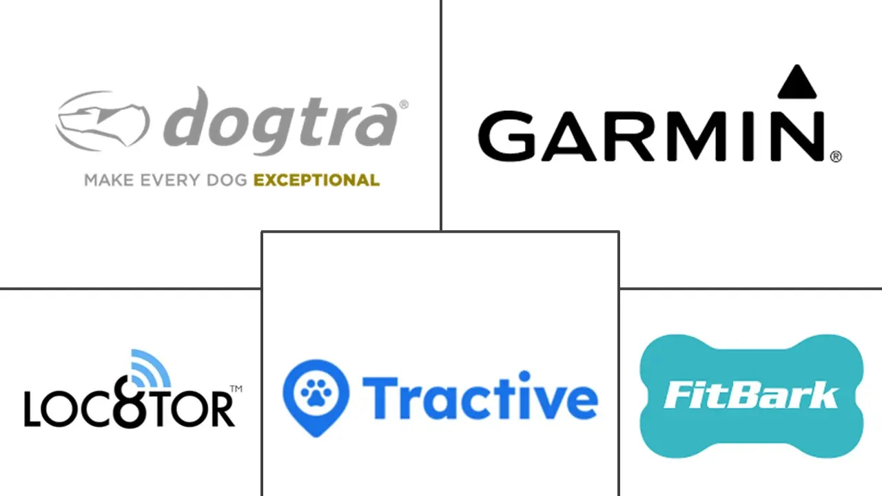 Principaux acteurs dans Marché des Accessoires Connectés pour Animaux de Compagnie industrie