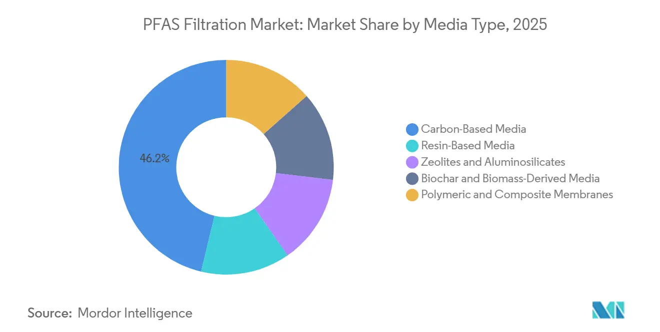 PFAS Filtration Market: Market Share by Media Type