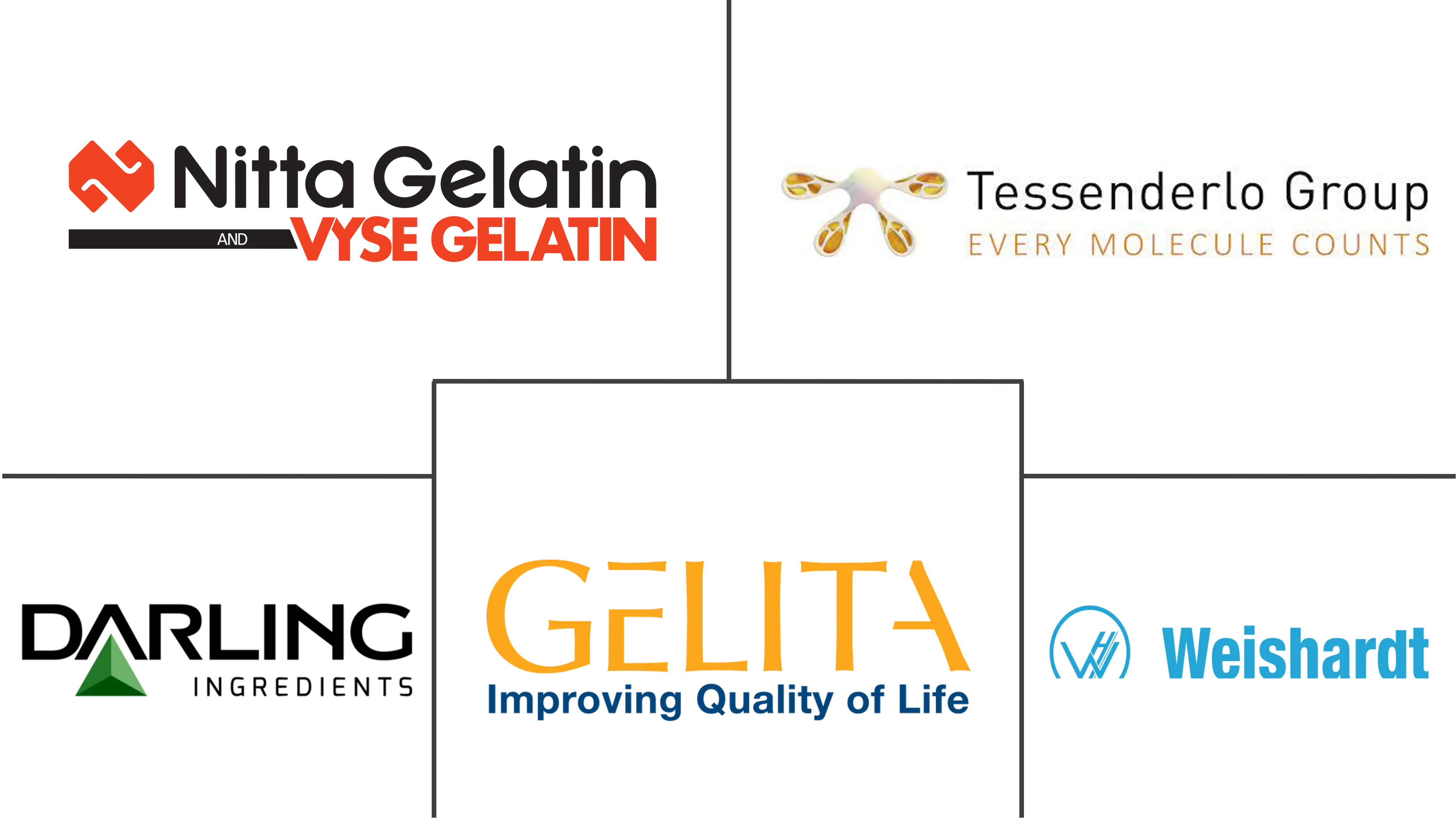 Pharmaceutical Gelatin Market Major Players