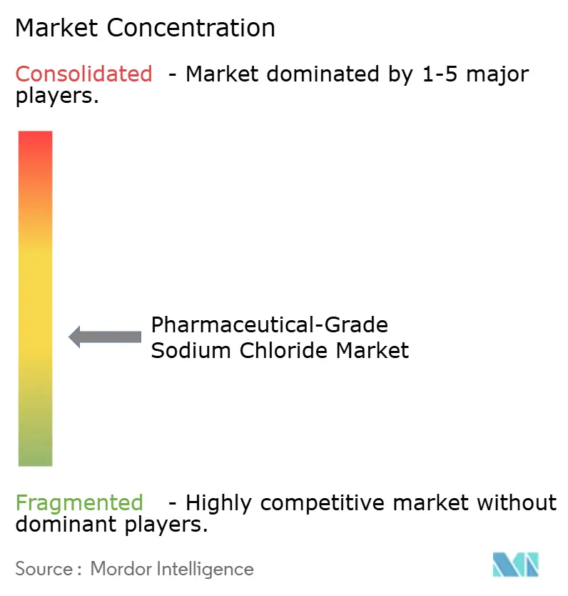 Pharmaceutical-Grade Sodium Chloride Market Concentration