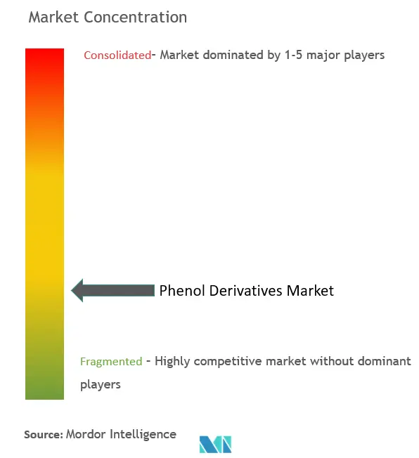 Phenol Derivatives Market Concentration