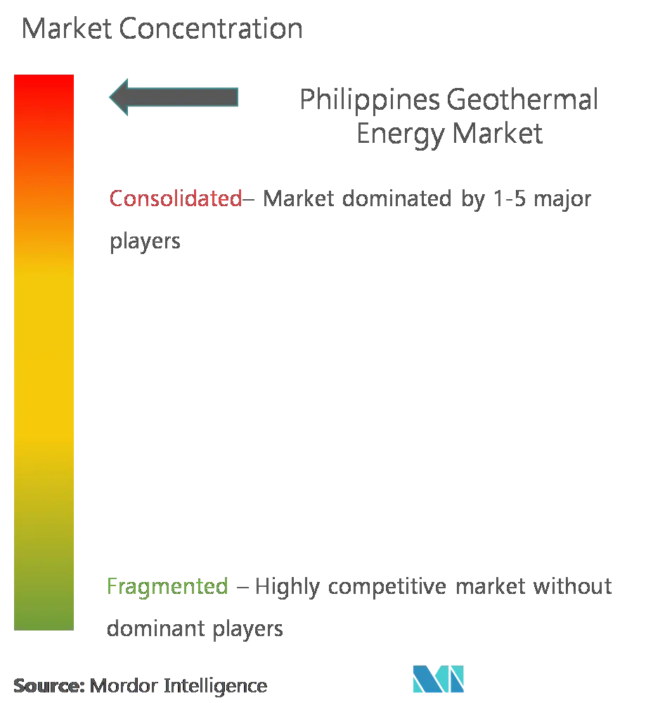 Philippine Geothermal Production Company, Inc., Energy Development Corporation, National Power Corporation, Aboitiz Power Corporation, Aragorn Power and Energy Corporation (APC Group Inc.)