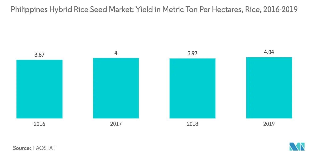 Philippines Hybrid Rice Seed Market Growth