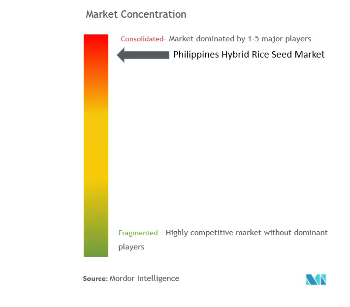 Philippinen-Hybrid-ReissamenMarktkonzentration