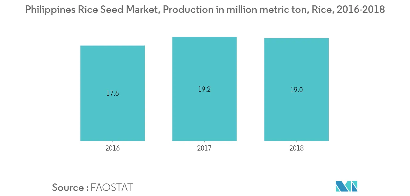 rice production in Philippines