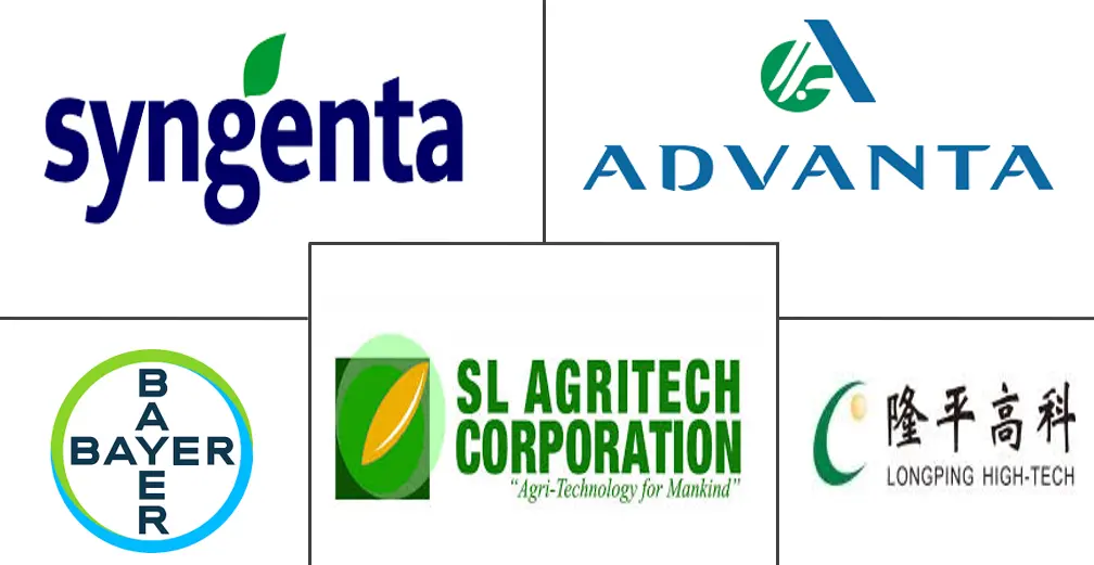 Major players in Philippines Rice Seed industry