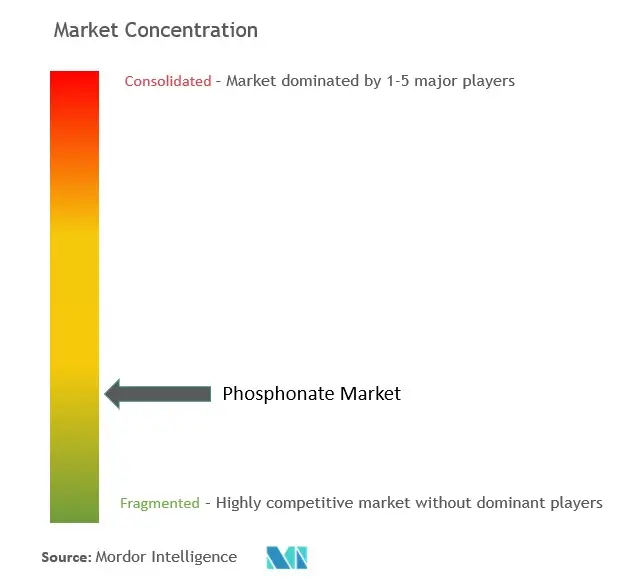 Global Phosphonate Market - Market Concentration