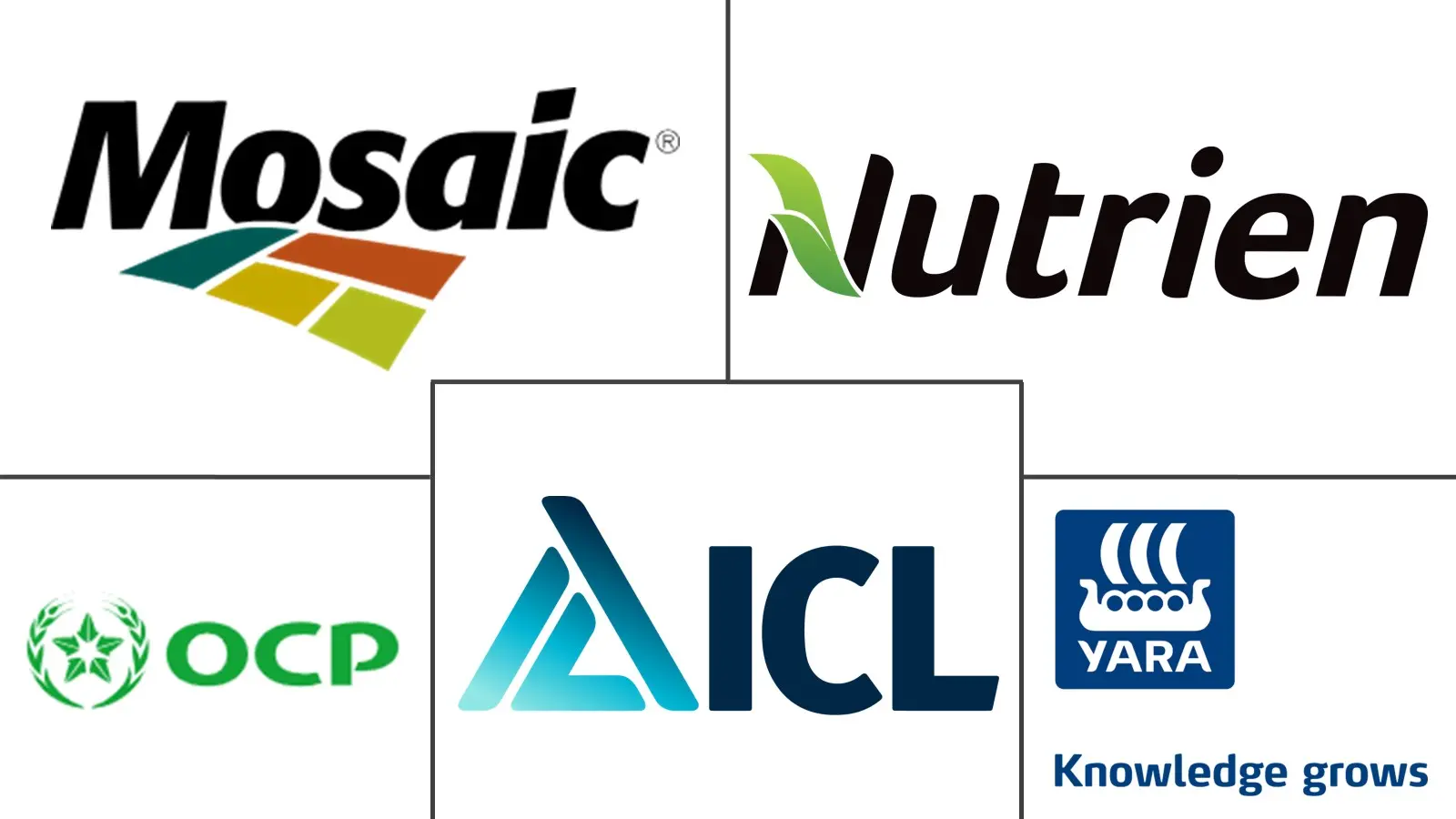 Major players in Phosphoric Acid industry