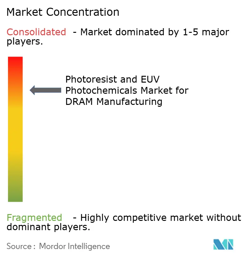 Concentração de Mercado do Mercado de Fotorresiste e Fotoquímicos EUV para Fabricação de DRAM