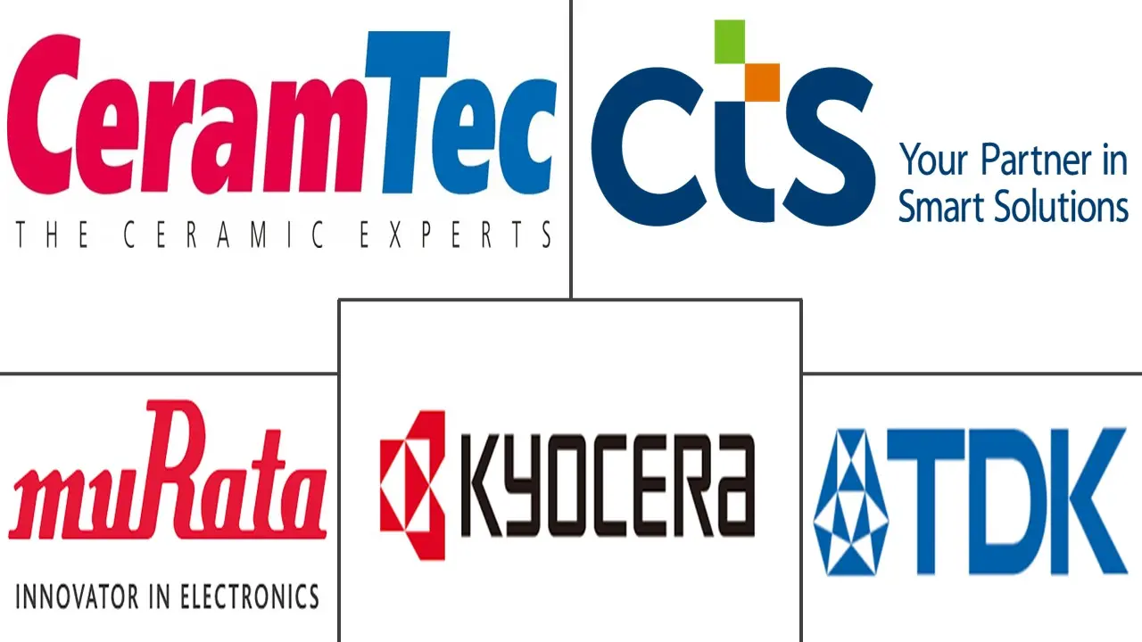 Major players in Piezoelectric Ceramics industry