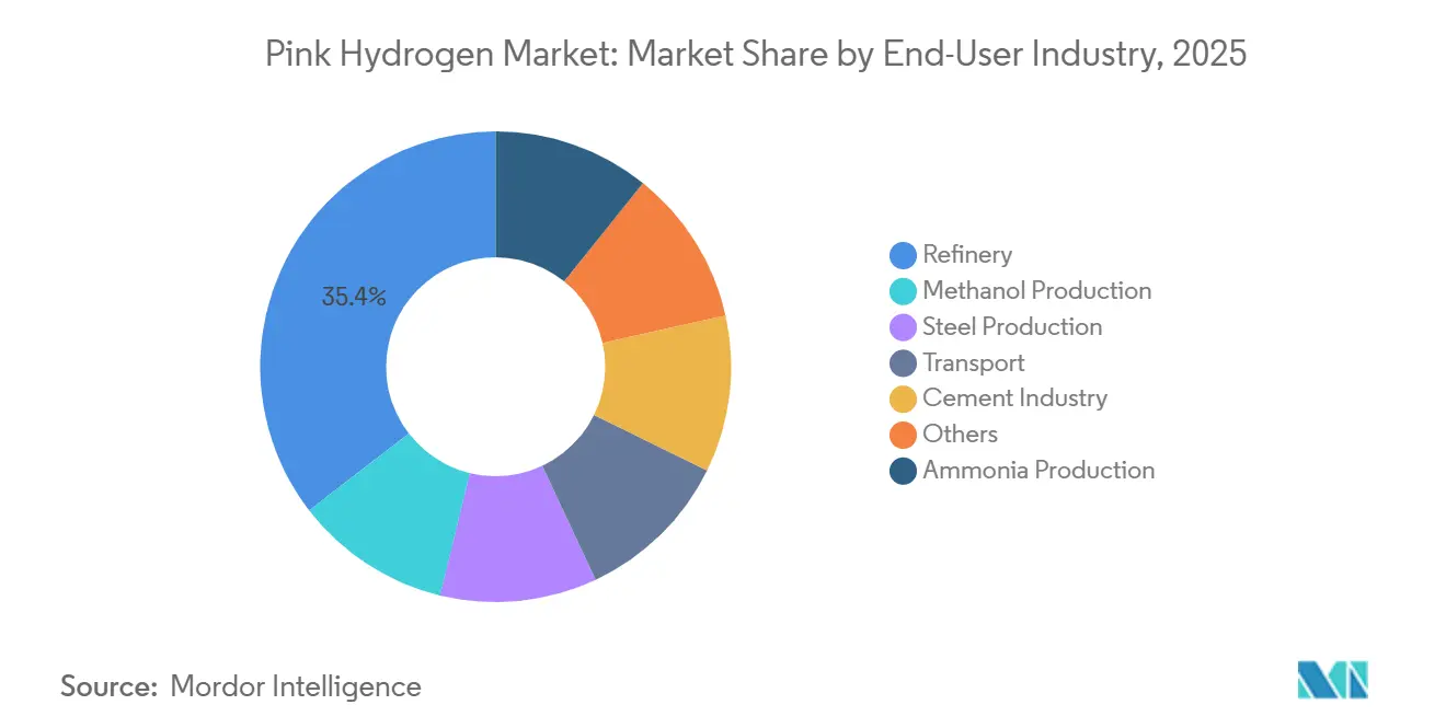 Pink Hydrogen Market Share by End-User Industry, 2025