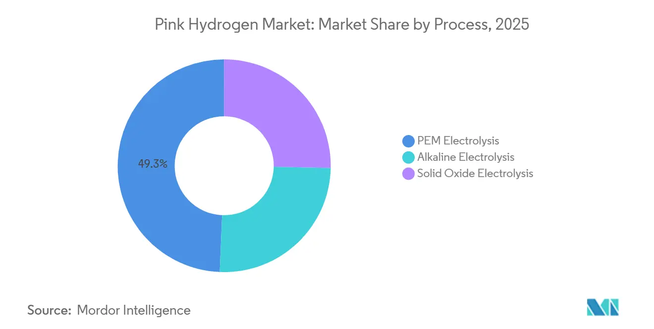 Pink Hydrogen Market Share by Process, 2025