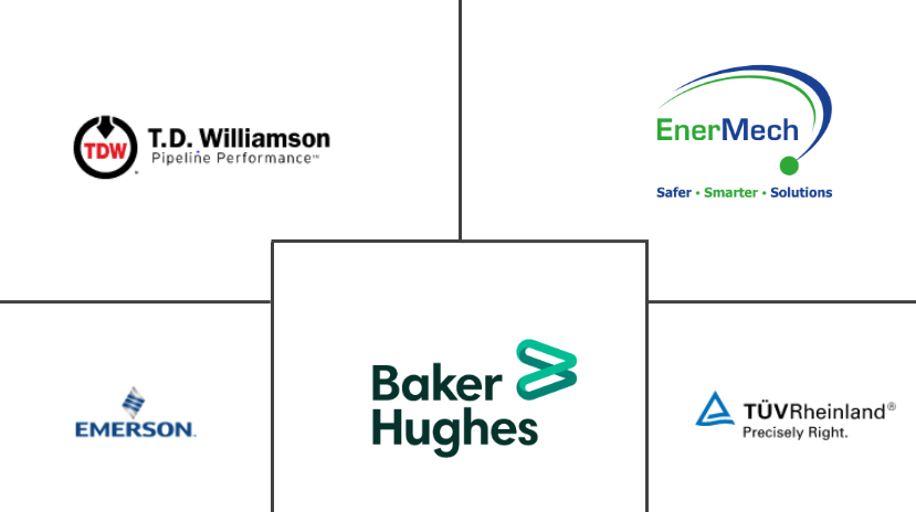 Acteurs majeurs du marché de la gestion intégrée des pipelines