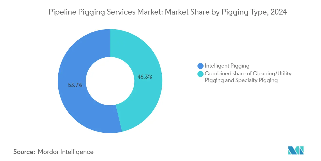 Pipeline Pigging Services Market: Market Share by Pigging Type