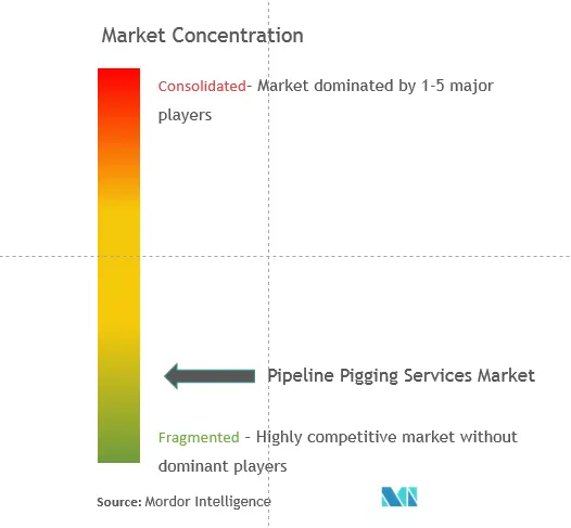 Market Concentration - Pipeline Pigging Services.PNG