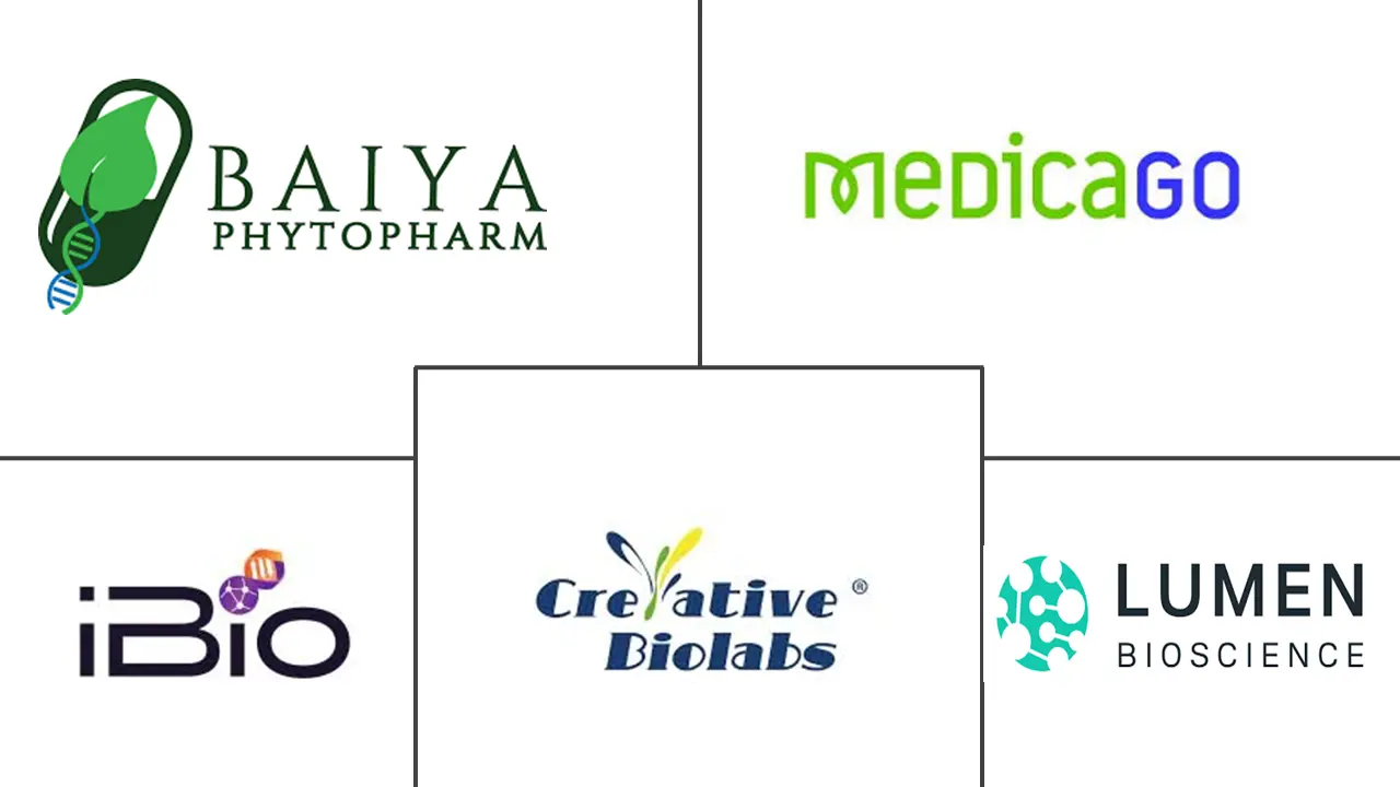 Related Companies Logo