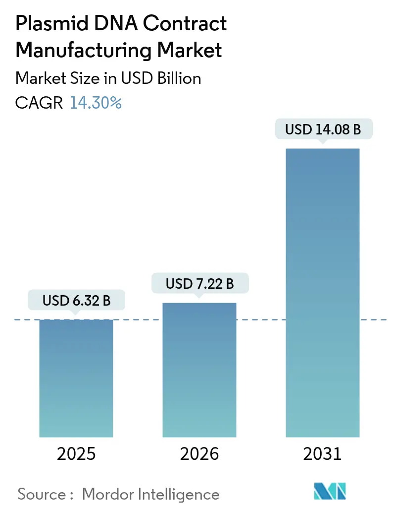 Plasmid DNA Contract Manufacturing Market Summary