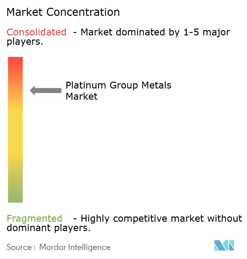 Platinum Group Metals Market