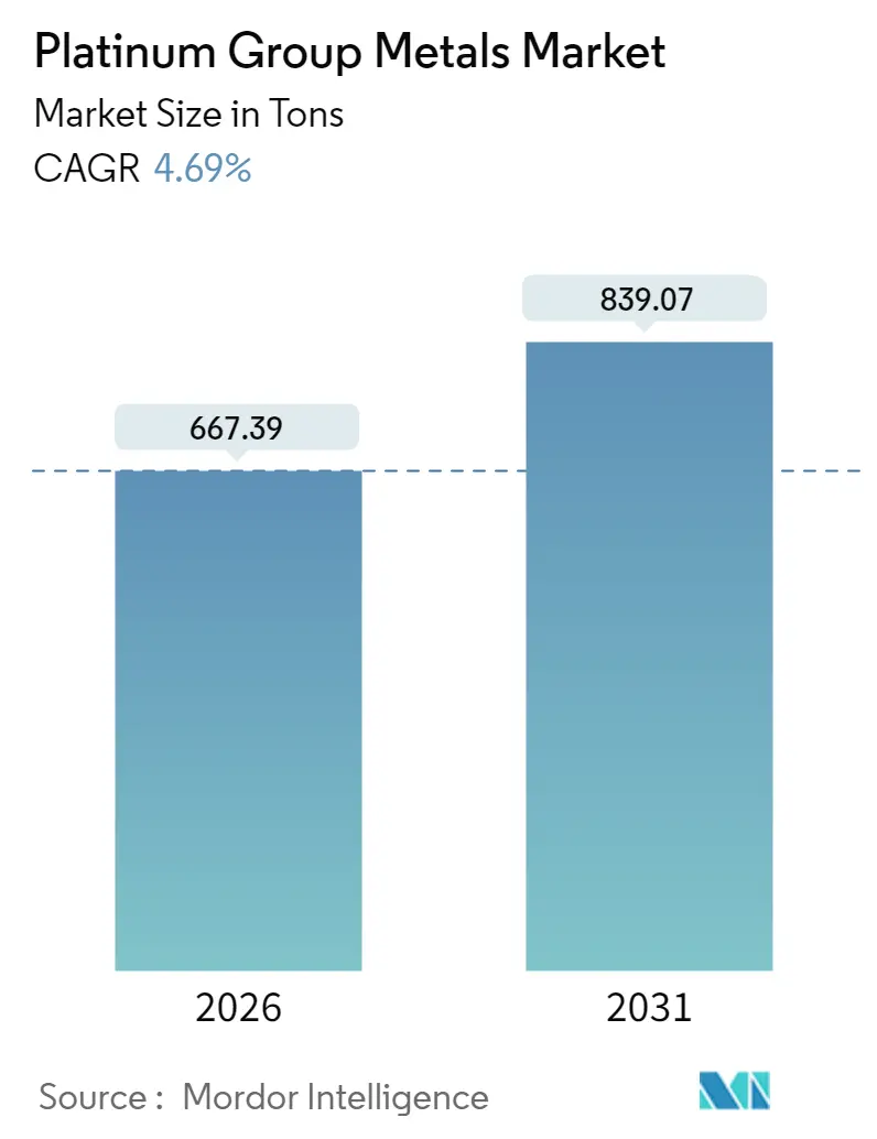 Platinum Group Metals Market Summary