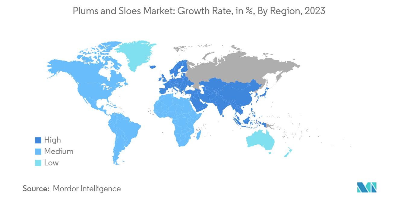 Global Plums and Sloes Market: Percentage Share in Import Value, Europe, 2018 