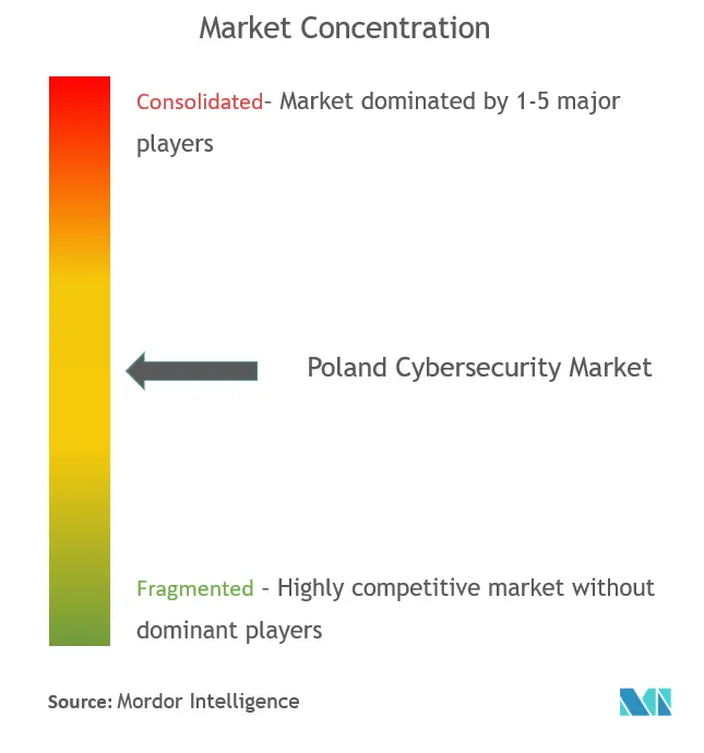 ポーランドのサイバーセキュリティ市場の集中